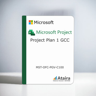 Microsoft Project Plan 1 GCC Subscription License